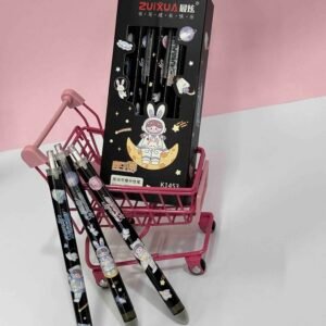 BOLIGRAFO RETRACTIL CAJA X12 TINTA BORRABLE KAWAII ASTRONAUTA